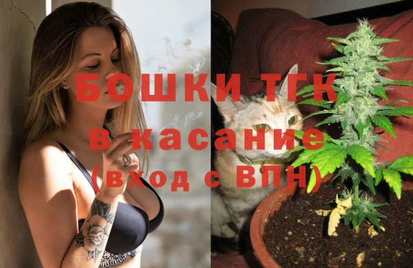 стаф Козельск
