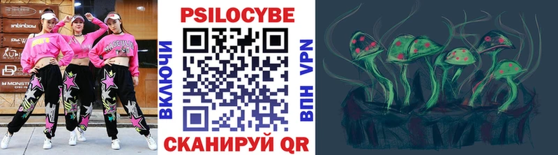 Купить Красавино Псилоцибиновые грибы Psilocybe